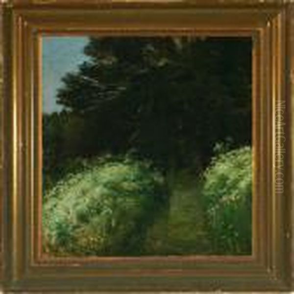 Path On Thefringes Of The Forest - view 1