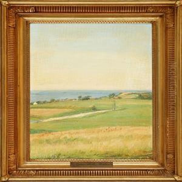 Summer Landscape - view 1