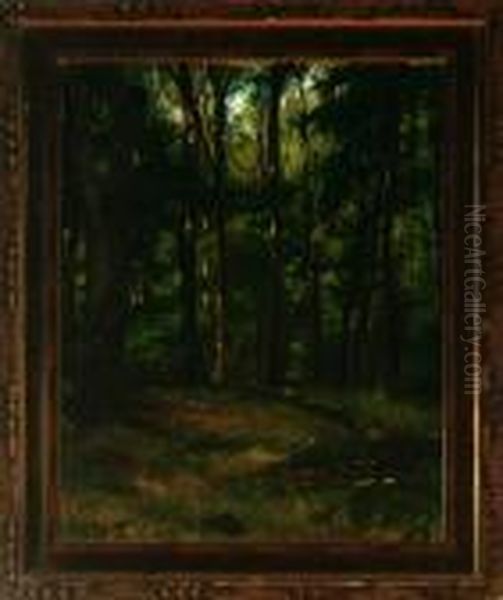 In A Silent Forest - view 1