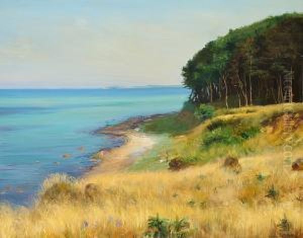 Summer's Day Near The Coast Line Of Als, In The Background AEro - view 1