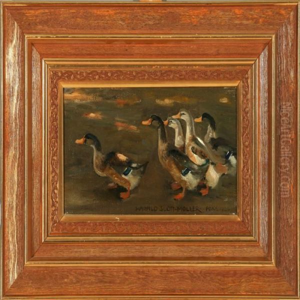 Five Ducks - view 1