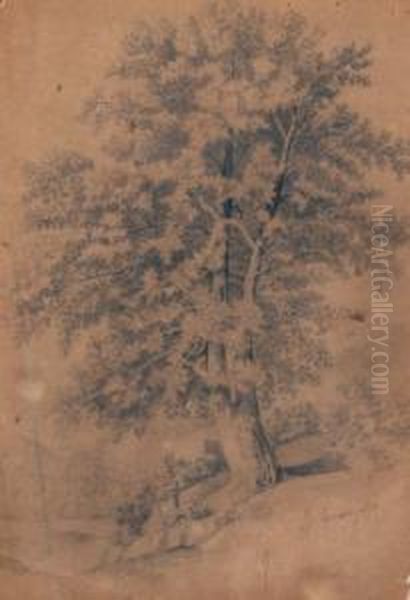 Studio D'albero - view 1