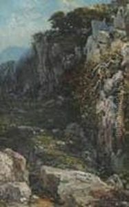 Paesaggio Di Campagna