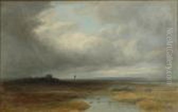 The Long Grey Moorland - view 1
