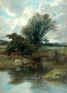 Rsa. Rsw. Rba Willows On The 
Poo Burn, Mentieth, Signed Oil On Canvas Board, Dated 1895, 46x30cm