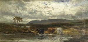 Far From The Busyworld, An 
Upland Landscape With Cattle Watering In The Shallows Ofa Pool