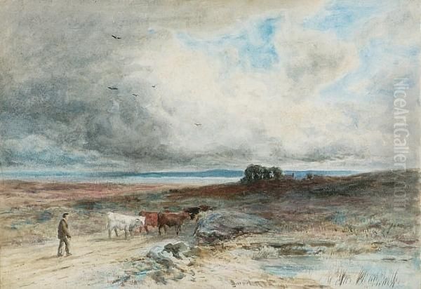 The Highland Drover - view 1