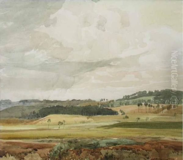 Looking Over Haymoor Bottom To Broadstone, Dorset - view 1