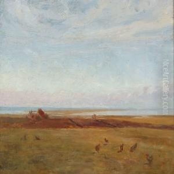 Landscape With Free-range Chickens - view 1