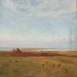 Landscape With Free-range Chickens