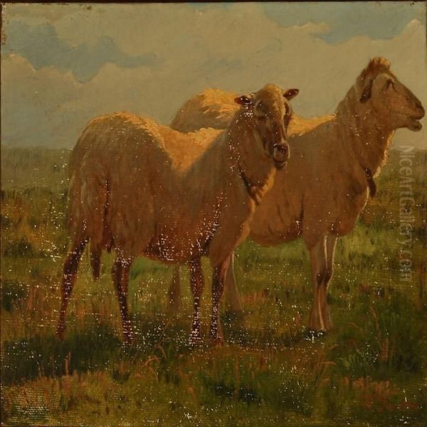 Two Grazing Sheep - view 1