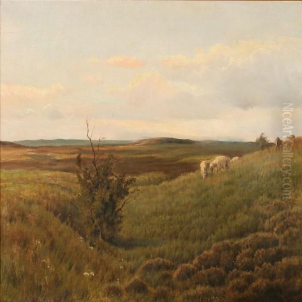 Moor Landscape - view 1