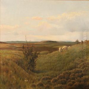 Moor Landscape