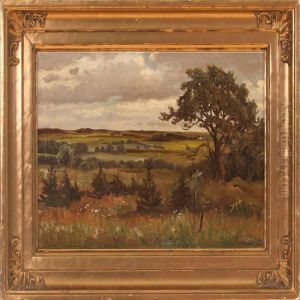 Moor Landscape
