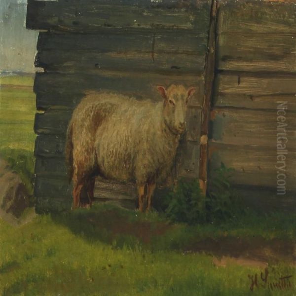 Landscape With Sheep By House - view 1