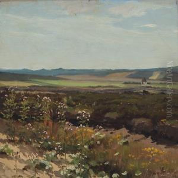 Julidag Fra Galten Hede - view 1