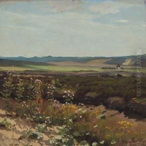 Julidag Fra Galten Hede