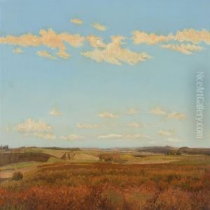 Scenery With Blue Sky
