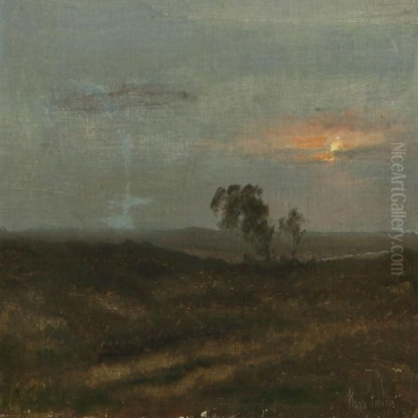 Danish Summer Evening - view 1