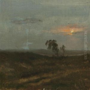 Danish Summer Evening