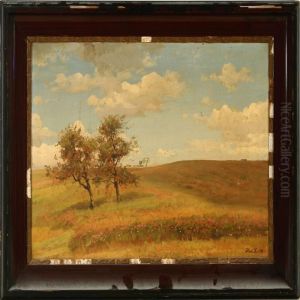 Summer Landscape
