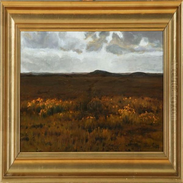 Moorish Landscape, Jutland - view 1