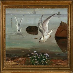 Diving Terns