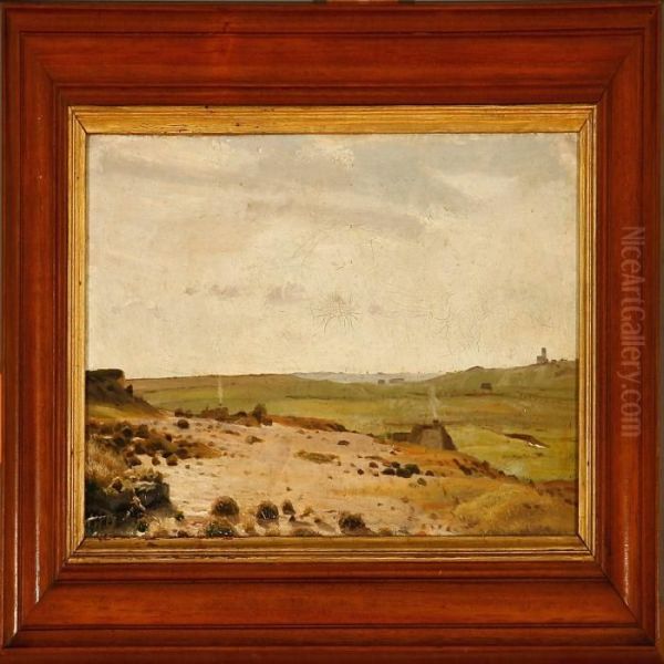 Summer Landscape In Jutland - view 1
