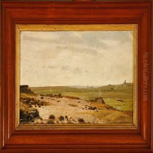 Summer Landscape In Jutland