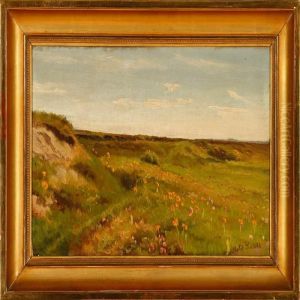 Summer Field With Flowers
