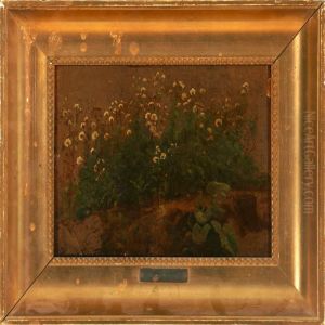 Study Of A Forest Floor