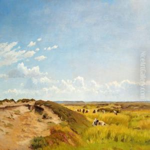 Moor Near Karup A In Jutland