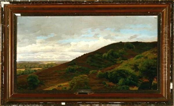 A Landscape From The Moor In Jutland, Denmark - view 1