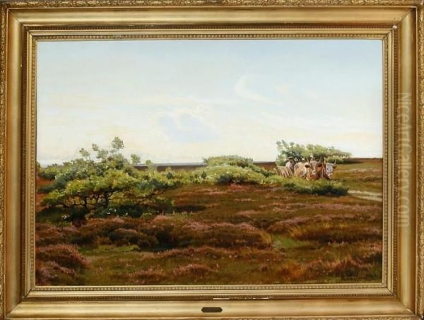 A Moor Scenery From Jutland Province, Denmark - view 1