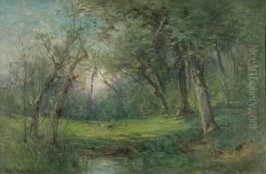 Forest Clearing