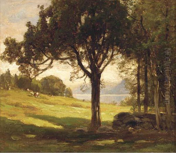 The Cedar Meadow - view 1