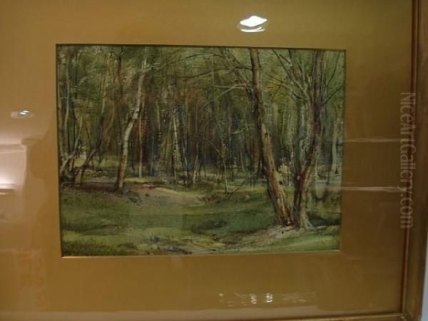 A Wood In Spring - view 1
