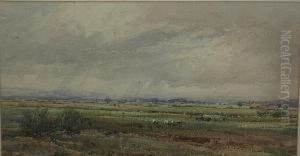 The Moss, Near Lancaster