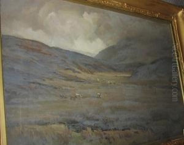 Sheep And Cattle Grazing On Extensive Moorland - view 1