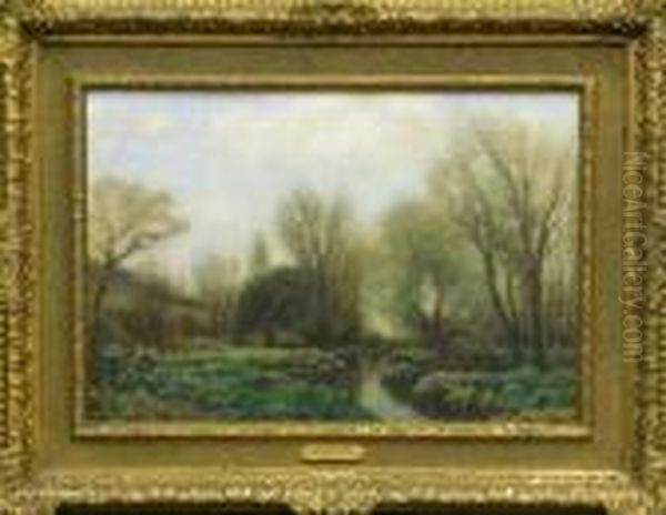 Early Spring On The Meadows - view 1