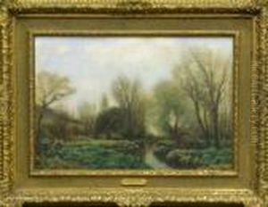 Early Spring On The Meadows
