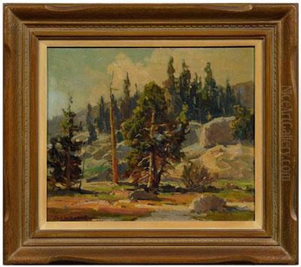 Alpine Landscape - view 1