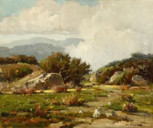 Cajon Pass Desert