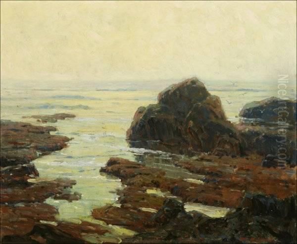 Tide Pools - view 1