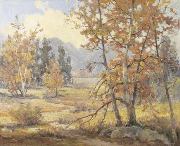 Hillside Sycamore - view 1