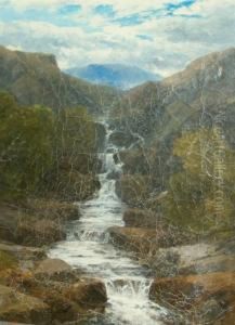 Waterfall Scenes