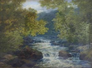 A Wooded River View