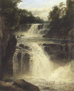 Swallow Falls by John Brandon Smith