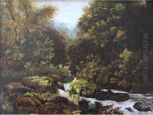 A Wooded River View A Wooded River View