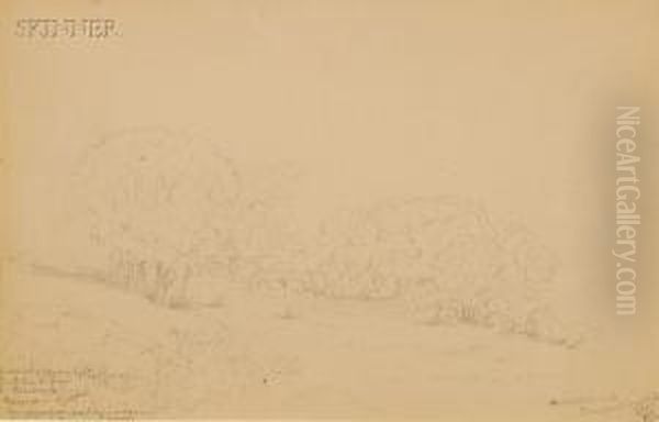 Landscapes - view 1